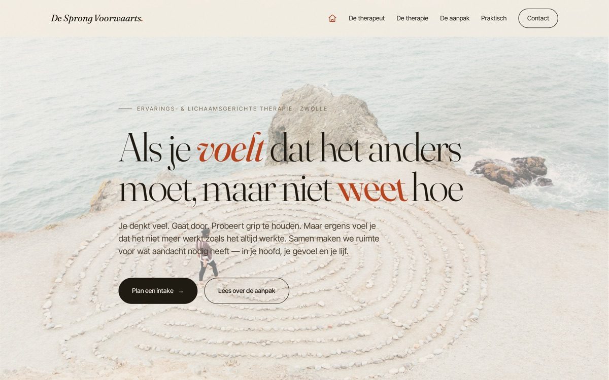 Website van De Sprong Voorwaarts